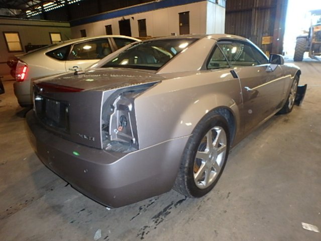 auction 2.jpg