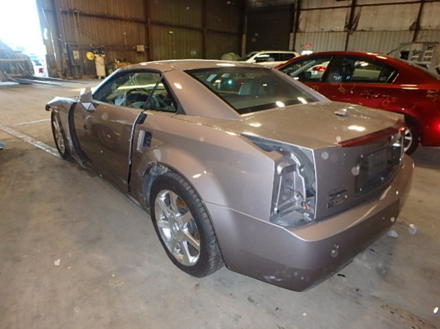auction1.jpg