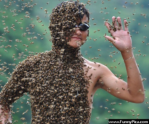 Crazy-People-Who-Clothe-Themselves-In-Bees-9.jpg