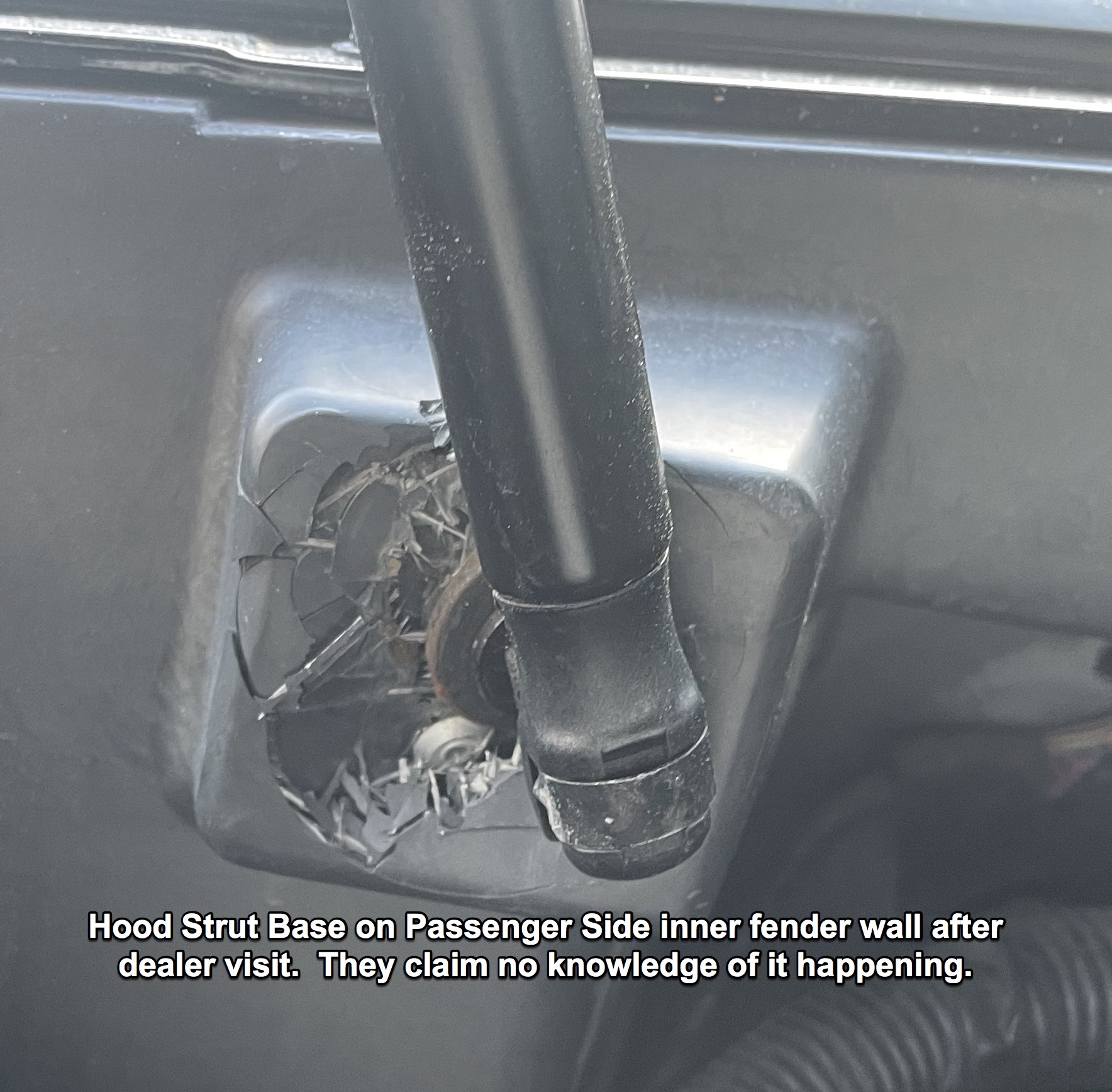 hood strut base.jpg