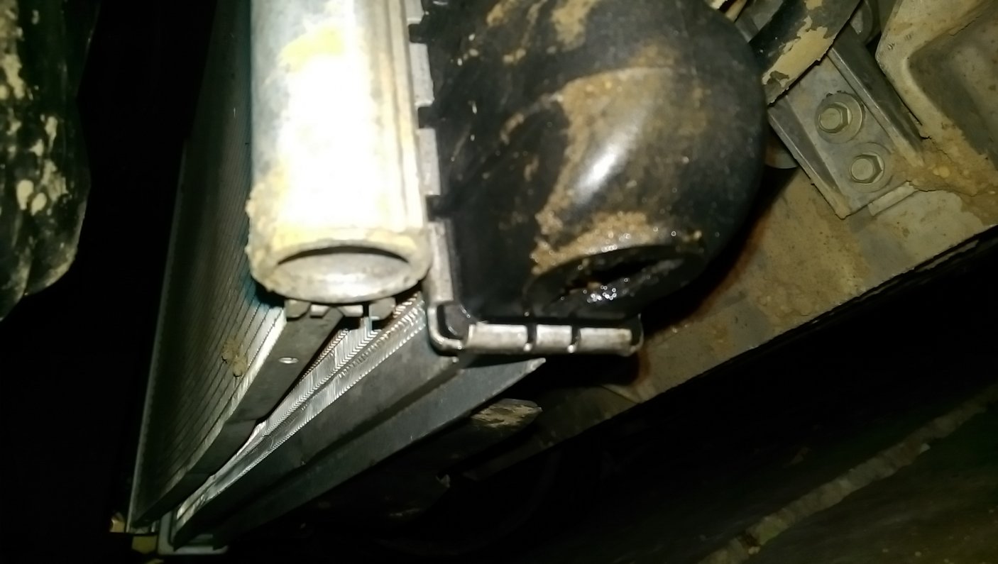 IMAG0062.jpg