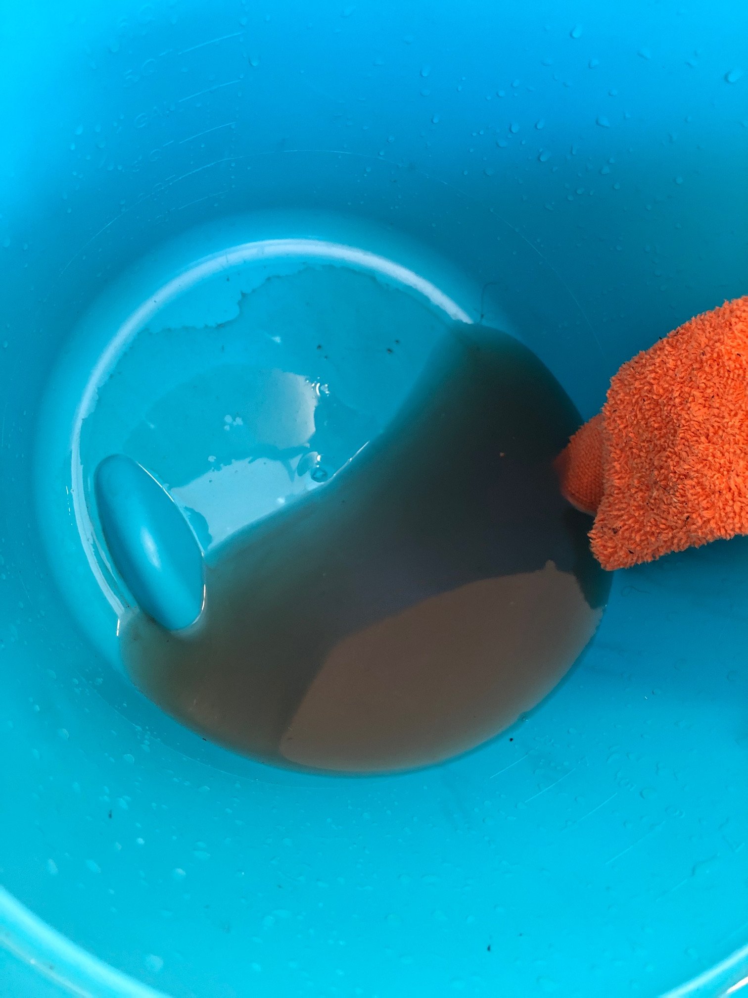 rinse water.JPG