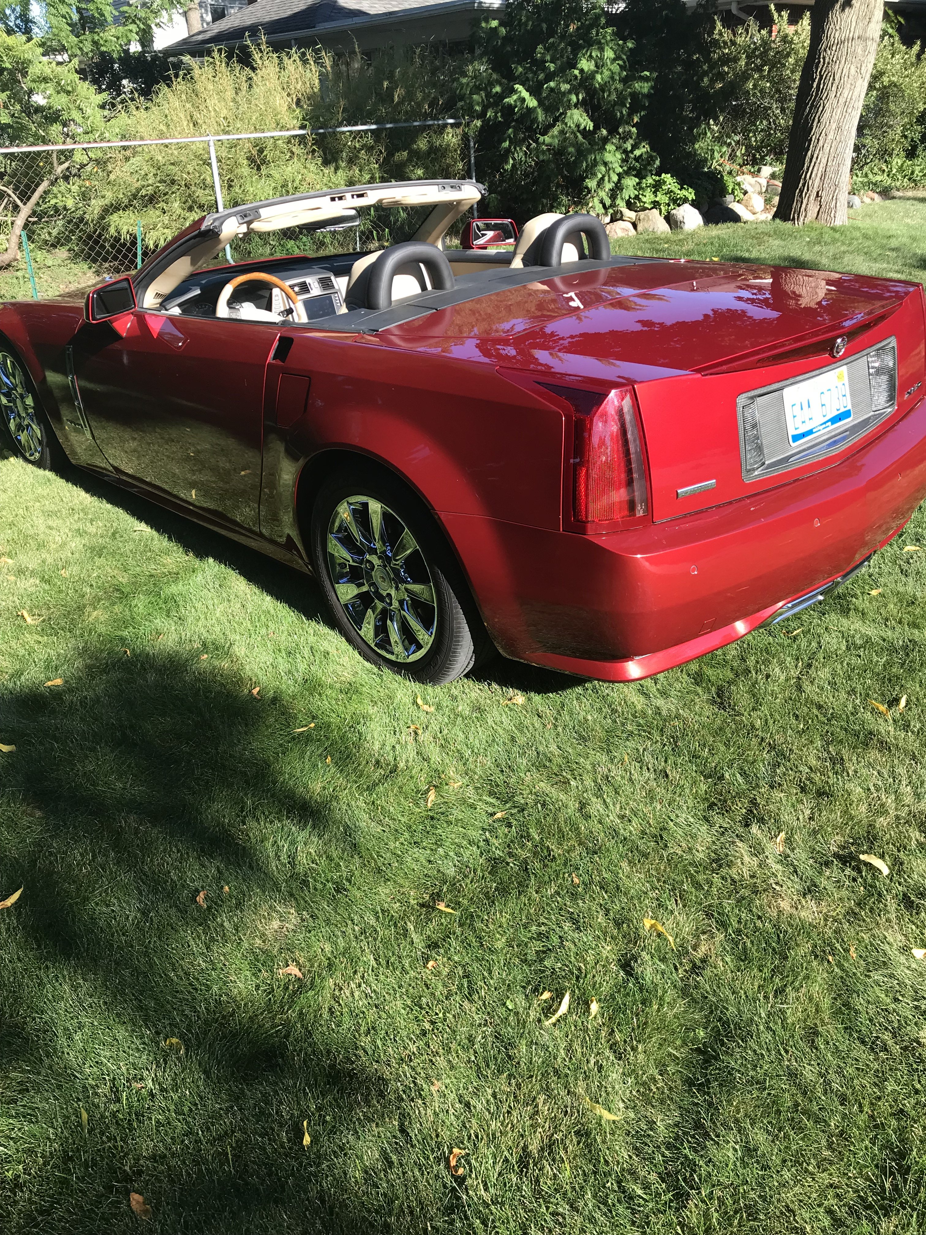 xlr rear 2.jpg