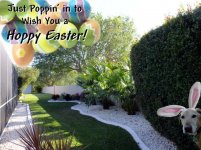 Easter.jpg