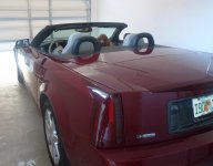 foxy in the garage.jpg