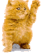 catwaving.gif
