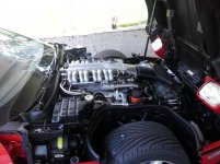 20130817_155534.jpg