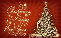 2013 Tree.jpg
