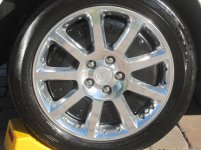 IMG_0279.jpg
