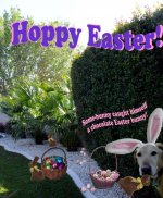 Hoppy Easter.jpg