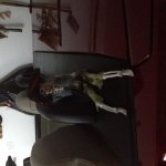 IMG_9290.jpg