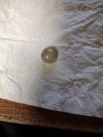 IMG_20250615_201450660.jpg