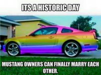 mustang.jpg