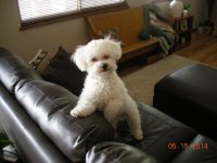 New Family Member 001.jpg