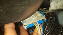20170711_160217.jpg