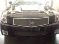 IMG_0102.jpg