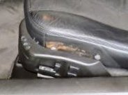 IMG_1870.jpg