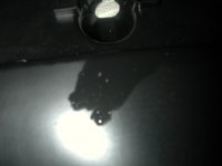 DSCN5457.jpg