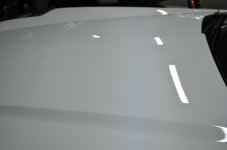 DSC_0038.jpg