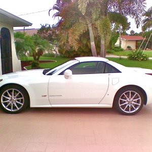 ALpine White Edition 2008