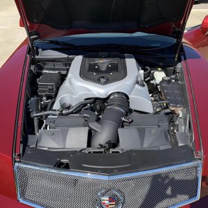 2006 Cadillac XLR-V in Infrared with Shale Ebony Interior
