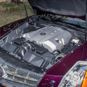 2009 Cadillac XLR in Black Cherry Metallic