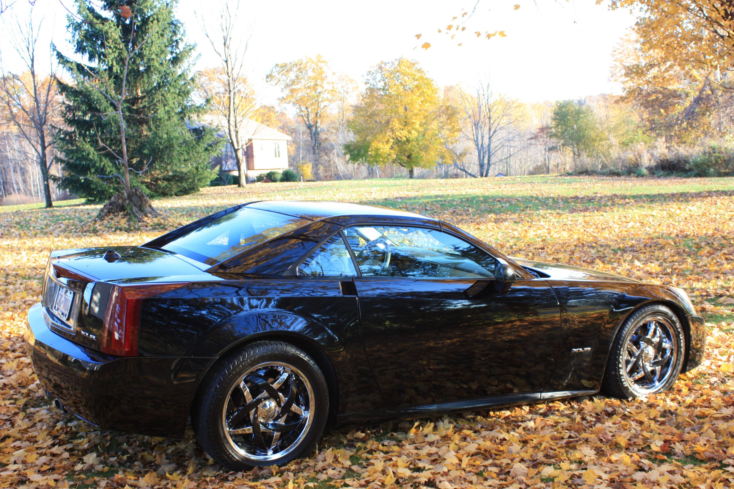 05 xlr in fall leafs