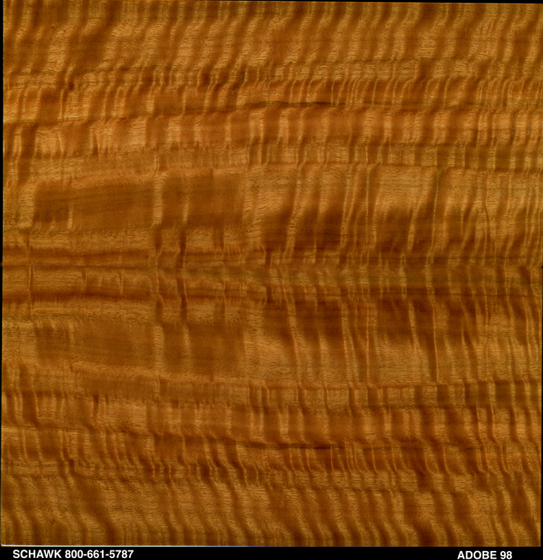 2007 Eucalyptus Wood Detail