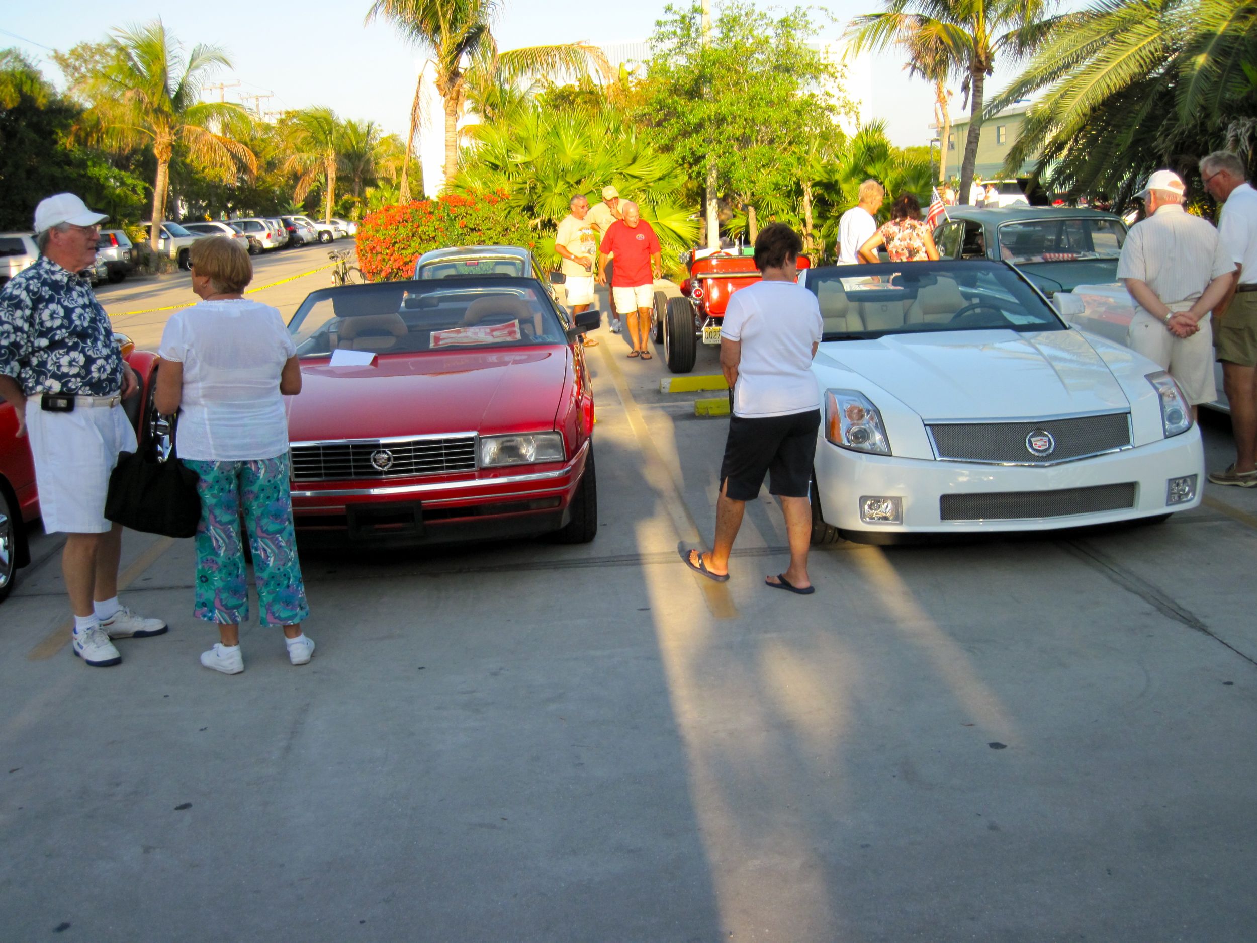 ALpine White Edition 2008