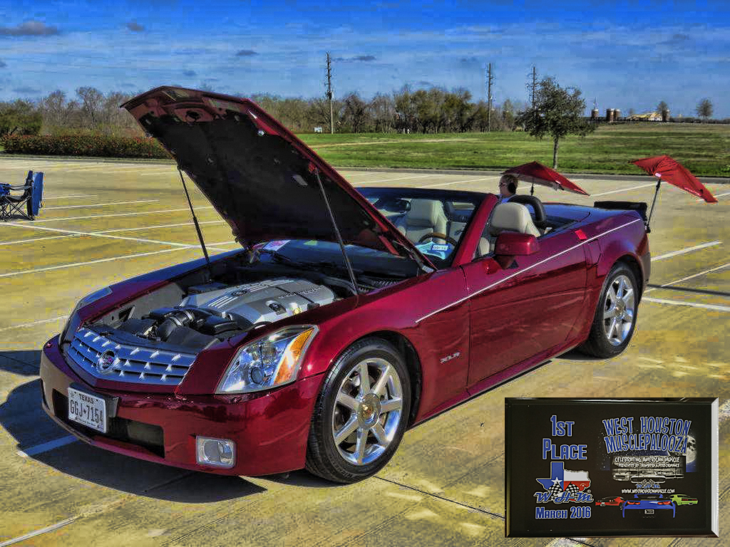 winner_winner_winner1