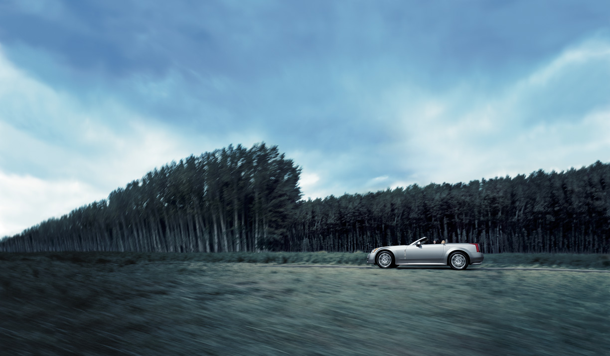 XLR Platinum Profile in front of forest